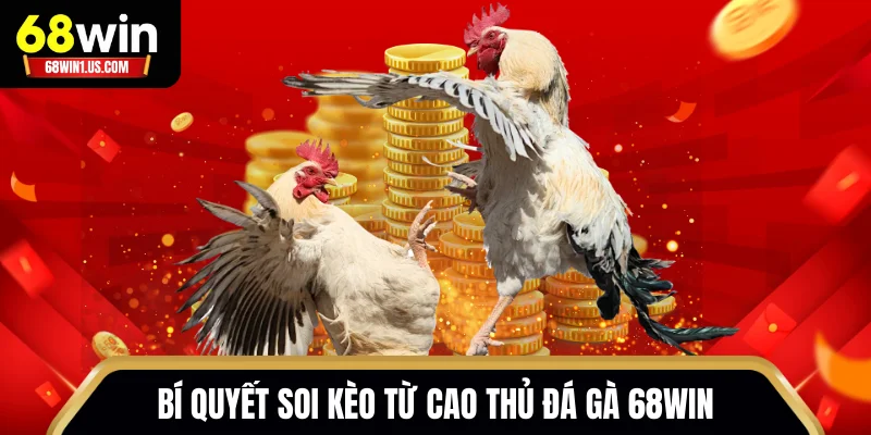 Bí quyết soi kèo từ cao thủ đá gà 68WIN để luôn nắm chắc phần thắng