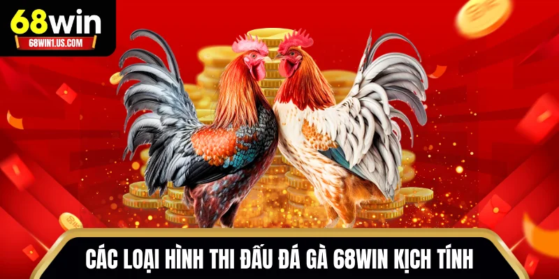 Các loại hình thi đấu đá gà 68WIN kịch tính không thể bỏ lỡ