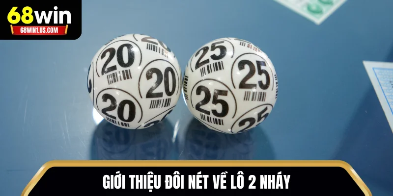 Top Kinh Nghiệm Đánh Lô 2 Nháy 68WIN Dễ Hiểu - Thắng Lớn 1 Giới thiệu đôi nét về lô 2 nháy