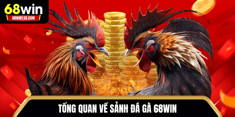 Tổng quan về sảnh đá gà 68WIN